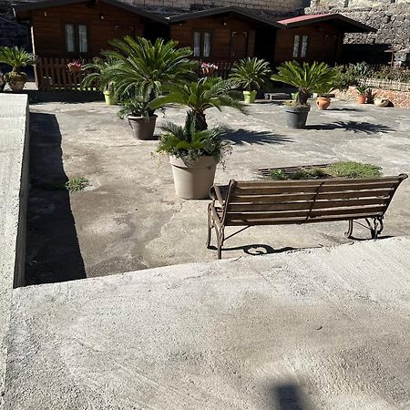 Garden Of Bitter Villa Catania Ngoại thất bức ảnh